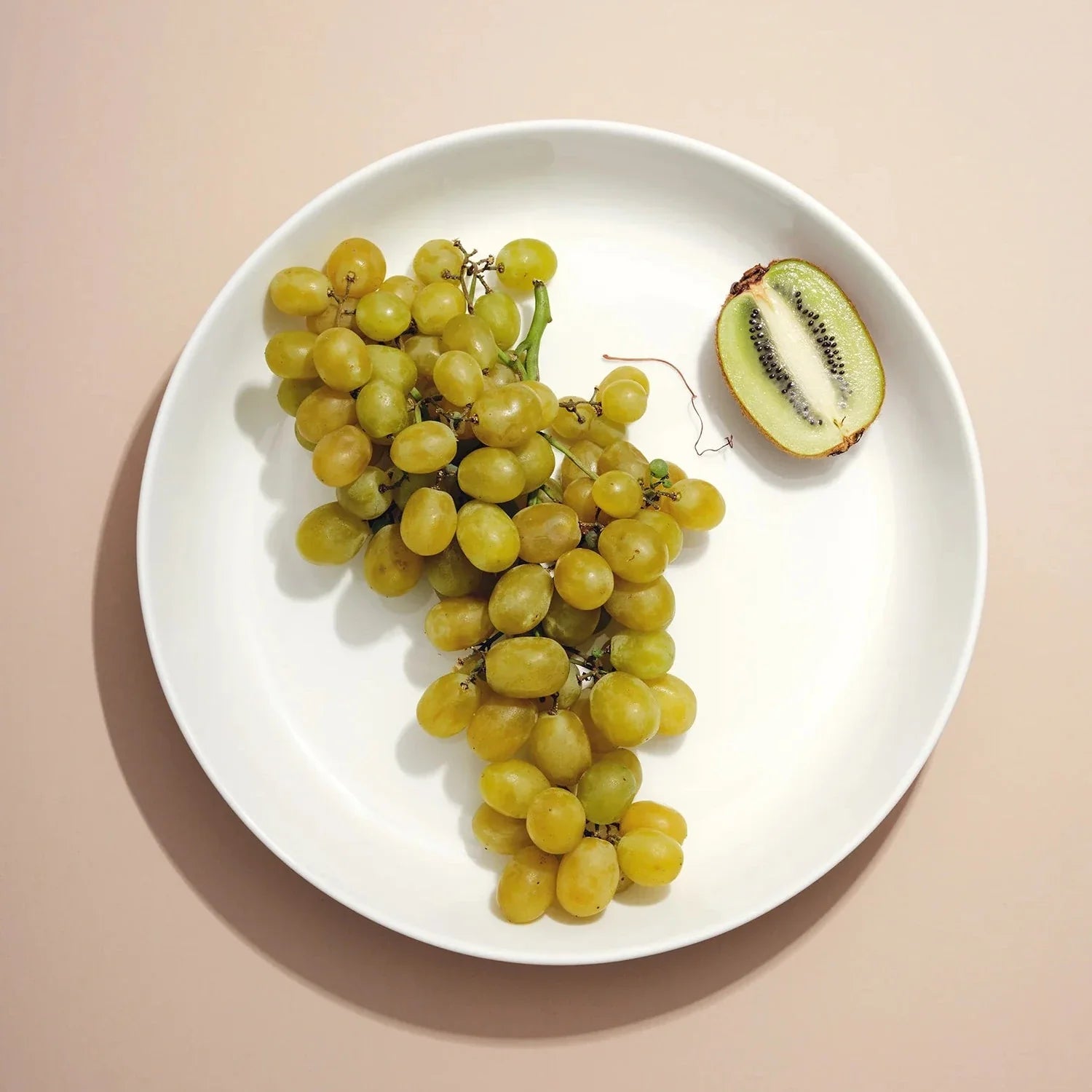 Shallow Serving Bowl - White - Shop_nameFors Studio