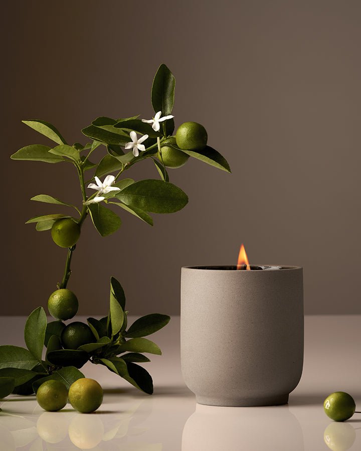 Candle - dwellandremainHomecourt