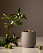 Candle - dwellandremainHomecourt