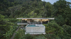 Concrete Jungle - dwellandremaingestalten US Shop