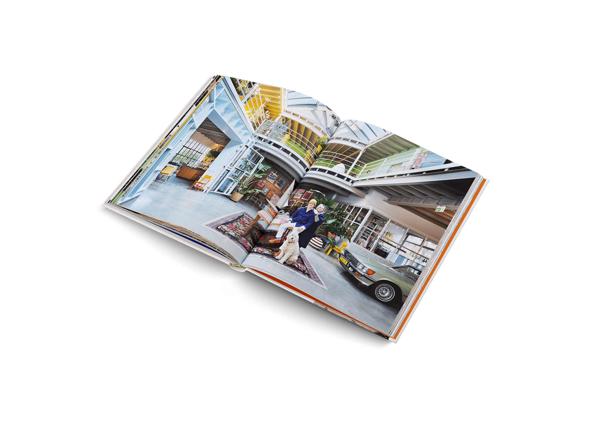 Creative Homes - dwellandremaingestalten US Shop