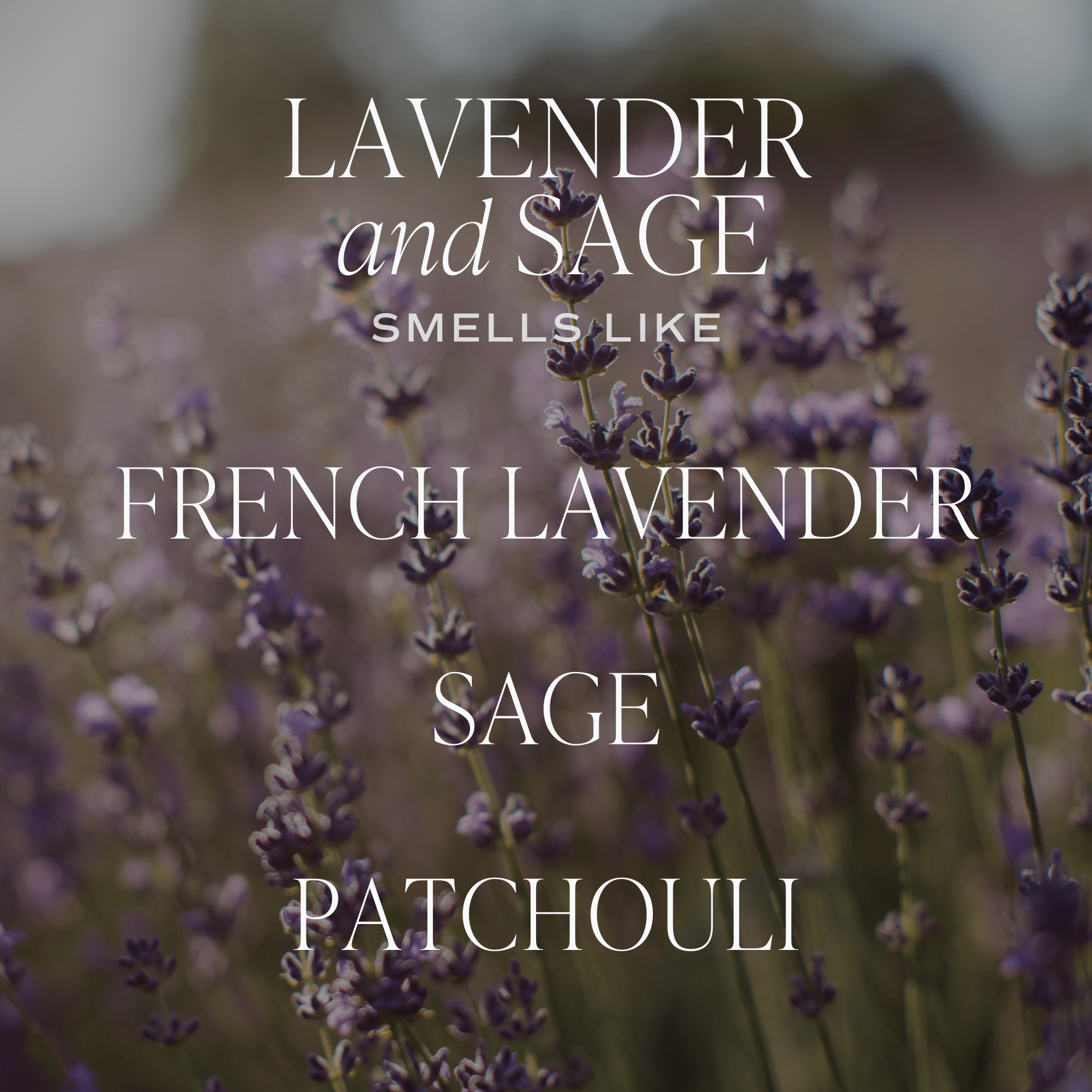 Lavender and Sage Soy Candle - Tinted Glass Jar - 12 oz - Shop_nameSweet Water Decor
