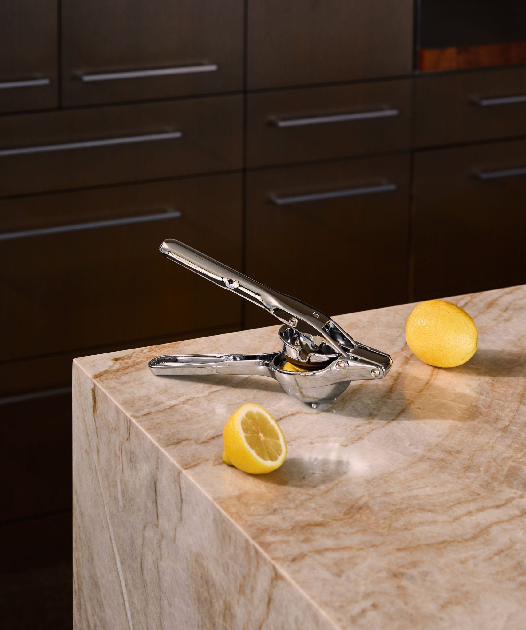 Link Citrus Press - dwellandremainHolcomb