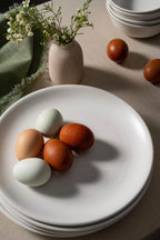 The Grande Plate (Set of 4) - Shop_namePowered by People